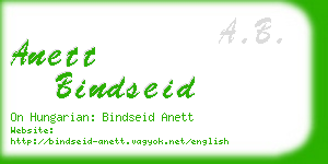 anett bindseid business card